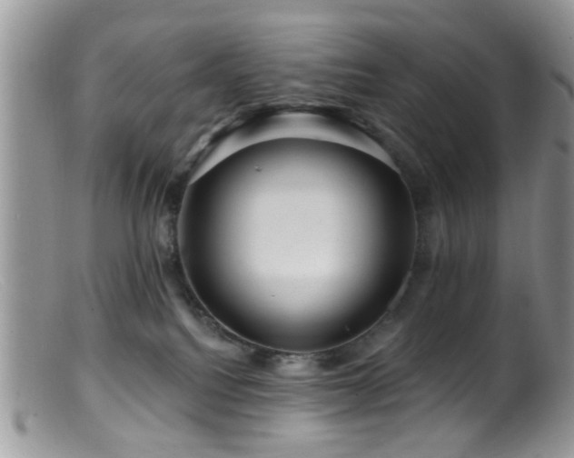 X0000099500088200805151442