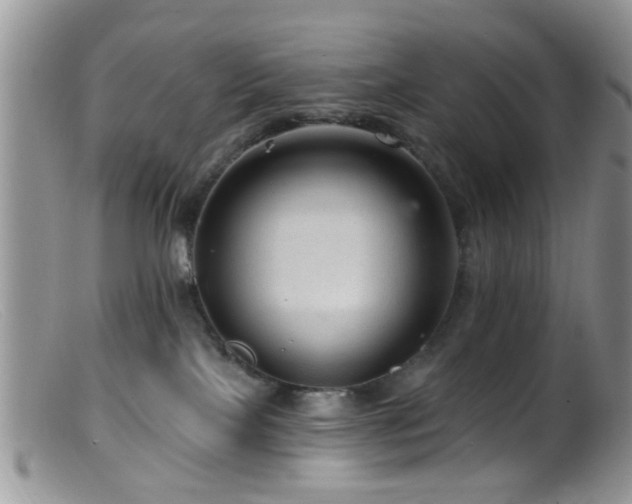 X0000099500089200805151442