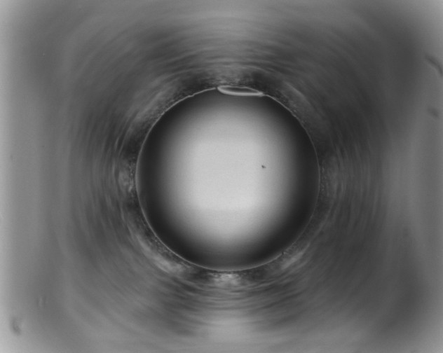 X0000099500091200805151442