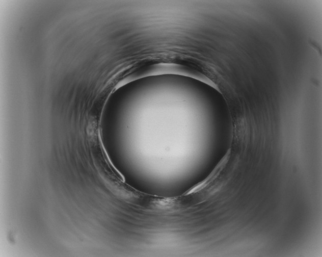 X0000099500092200805151442