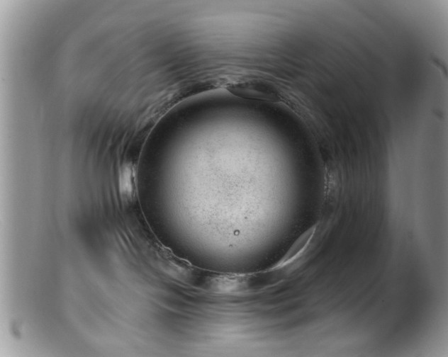 X0000099500094200805151442