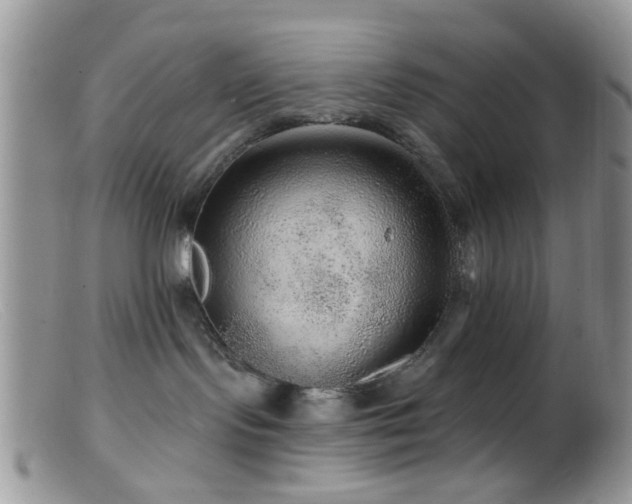 X0000099500095200805151442