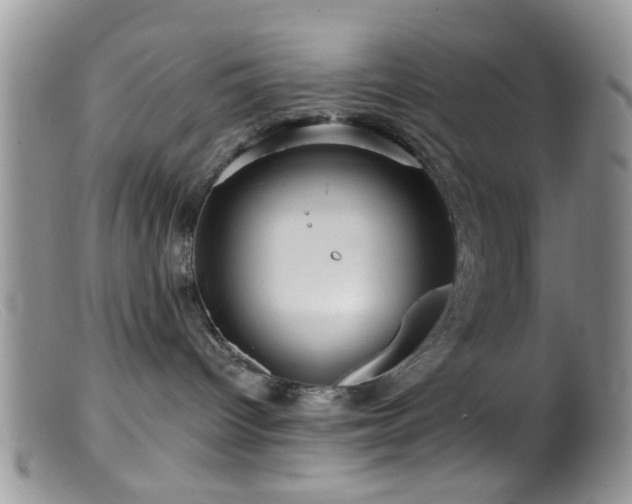X0000099500096200805151442