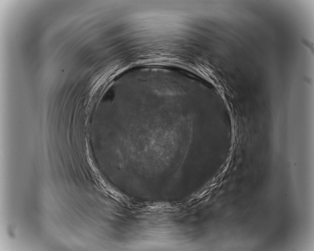 X0000099500097200805151441