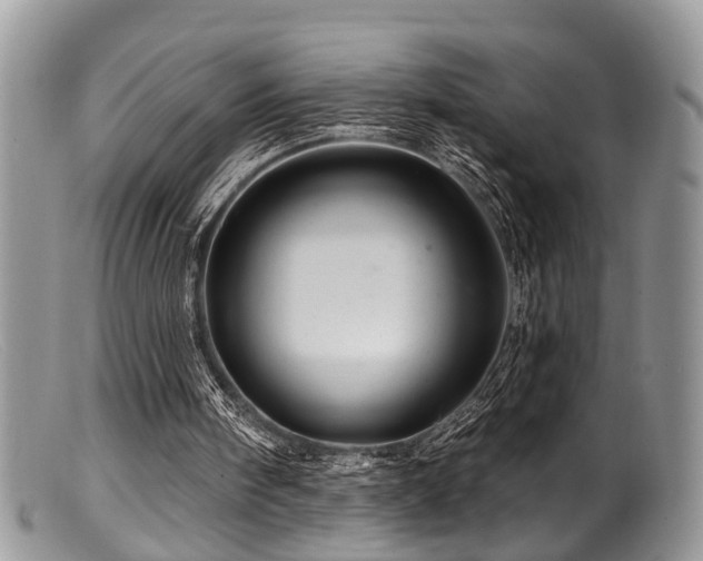 X0000099500098200805151441