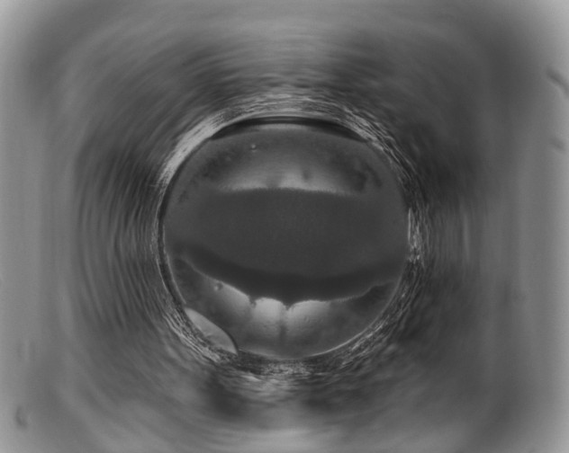 X0000099500099200805151441