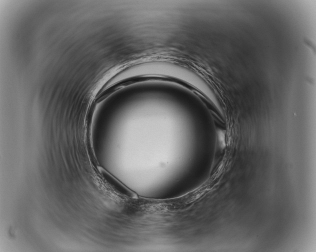 X0000099500100200805151441