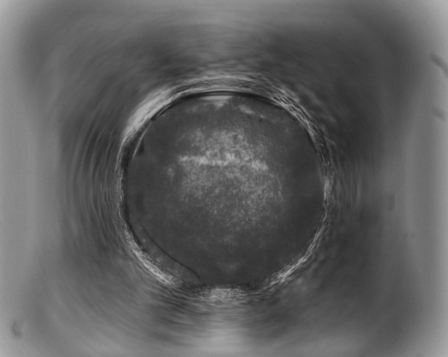 X0000099500101200805151441