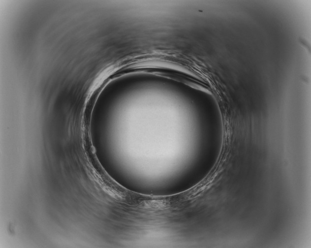 X0000099500102200805151441