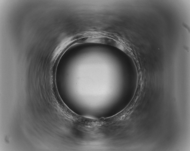 X0000099500103200805151441