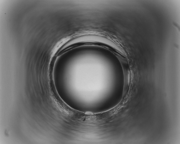 X0000099500104200805151441