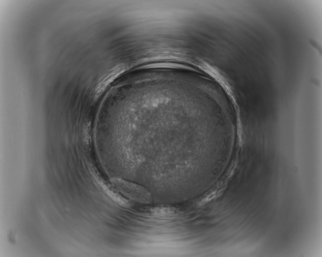 X0000099500105200805151441