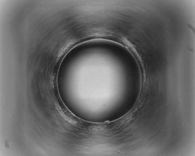 X0000099500106200805151441