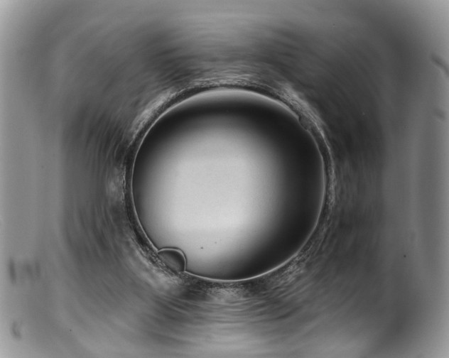 X0000099500107200805151441