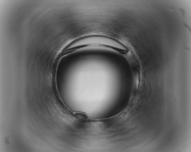 X0000099500108200805151441