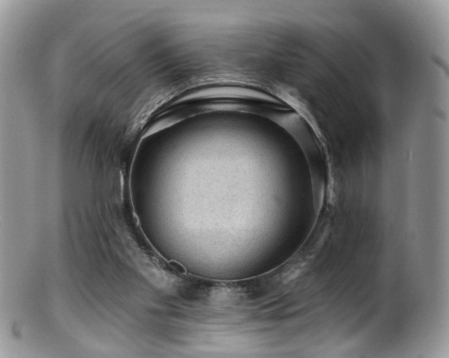 X0000099500109200805151441