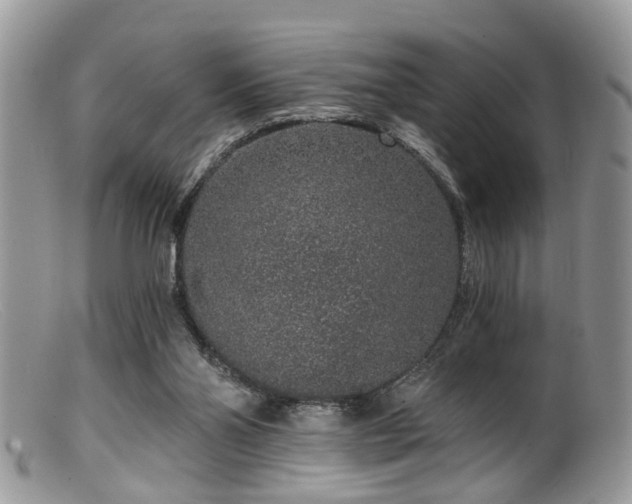 X0000099500110200805151441