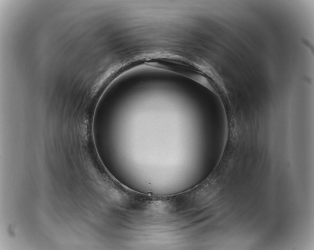X0000099500111200805151441