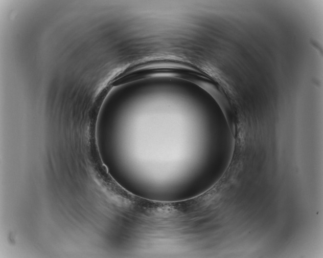 X0000099500112200805151441