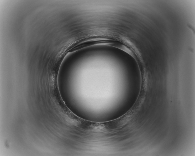 X0000099500113200805151441