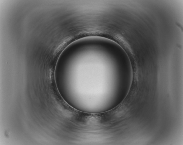 X0000099500115200805151441
