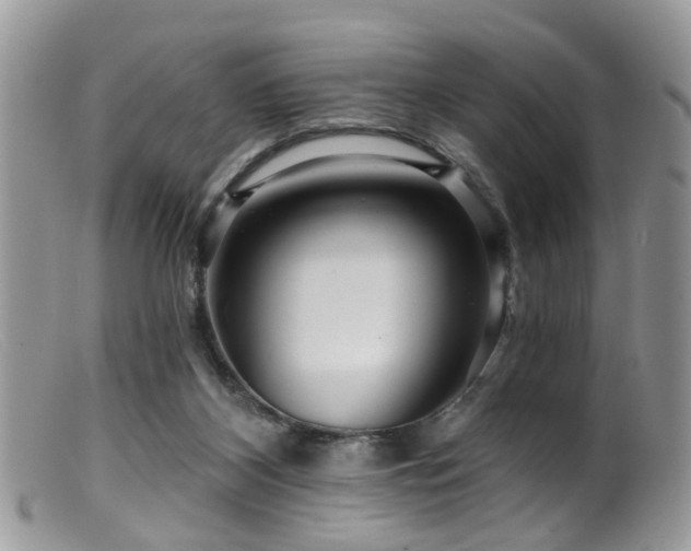 X0000099500116200805151441