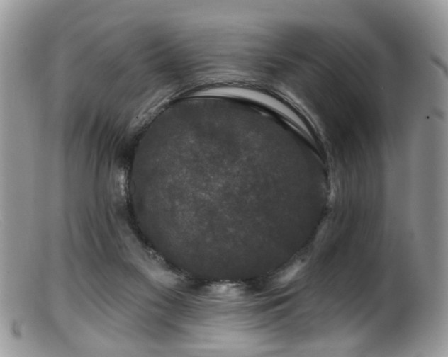 X0000099500117200805151441