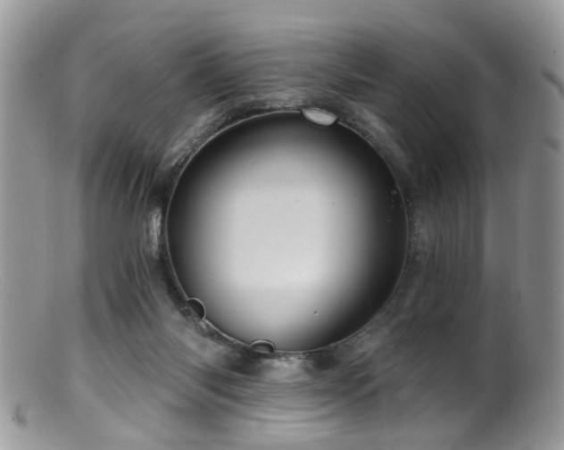 X0000099500118200805151441