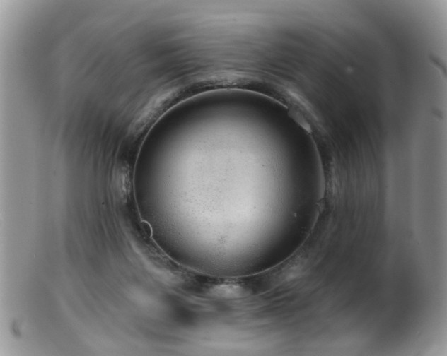 X0000099500119200805151441