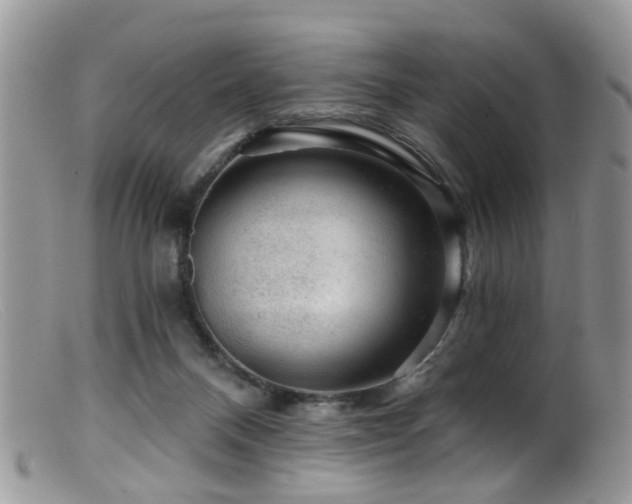 X0000099500120200805151441