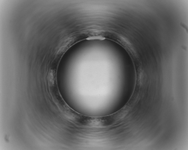 X0000099500121200805151441