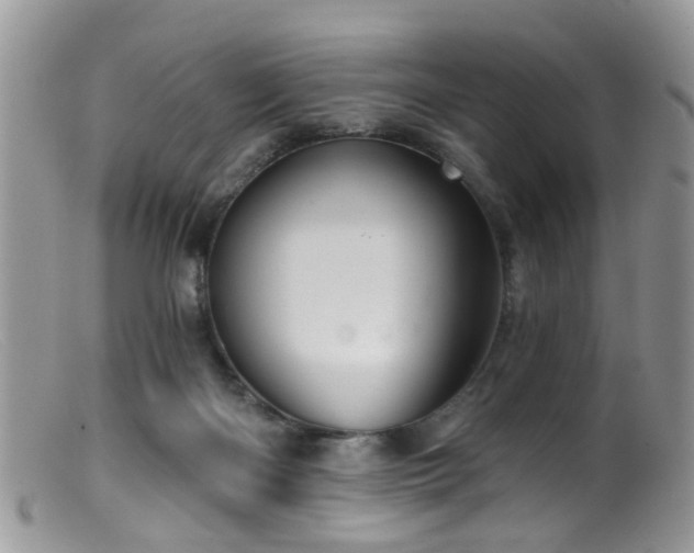 X0000099500122200805151441