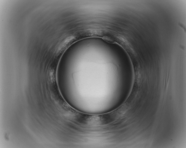 X0000099500123200805151441
