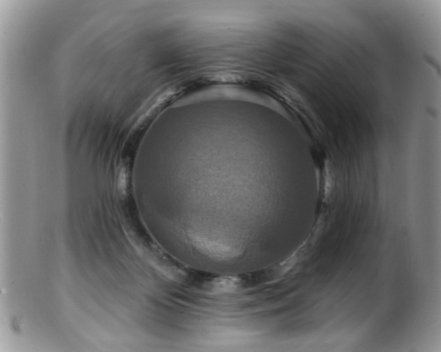 X0000099500124200805151441