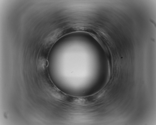 X0000099500125200805151441