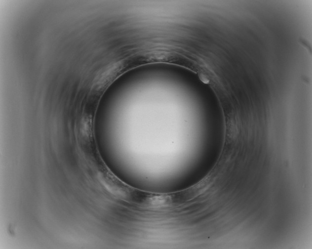 X0000099500126200805151441