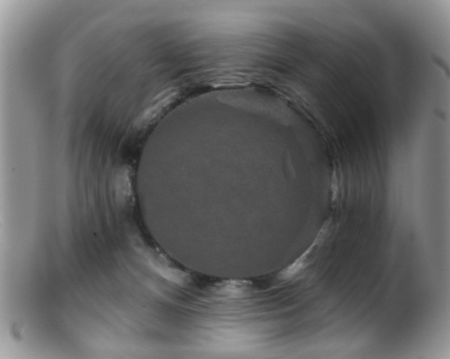 X0000099500128200805151441
