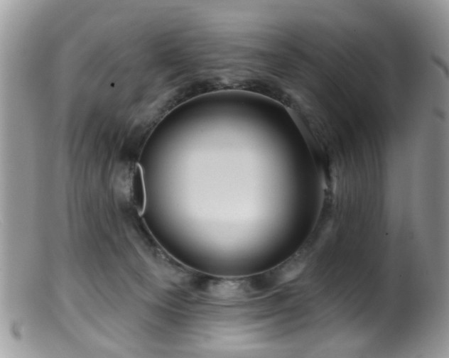 X0000099500129200805151440