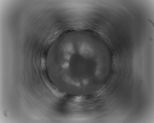 X0000099500130200805151440