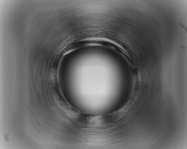 X0000099500132200805151440