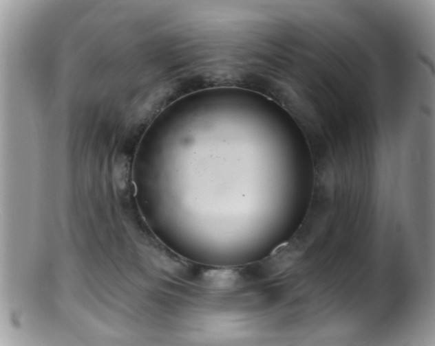 X0000099500133200805151440