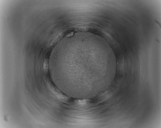 X0000099500134200805151440