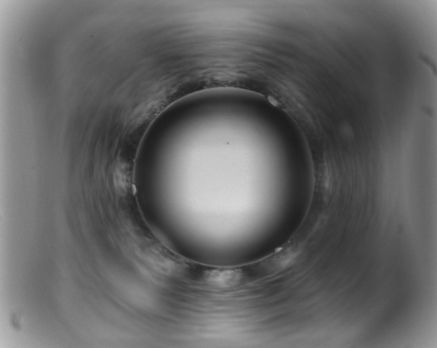 X0000099500135200805151440