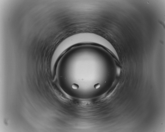 X0000099500136200805151440