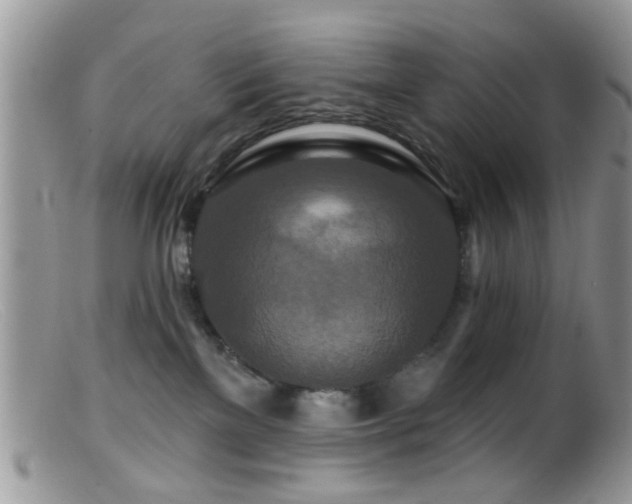 X0000099500137200805151440