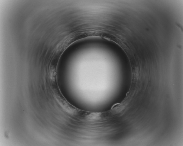 X0000099500138200805151440