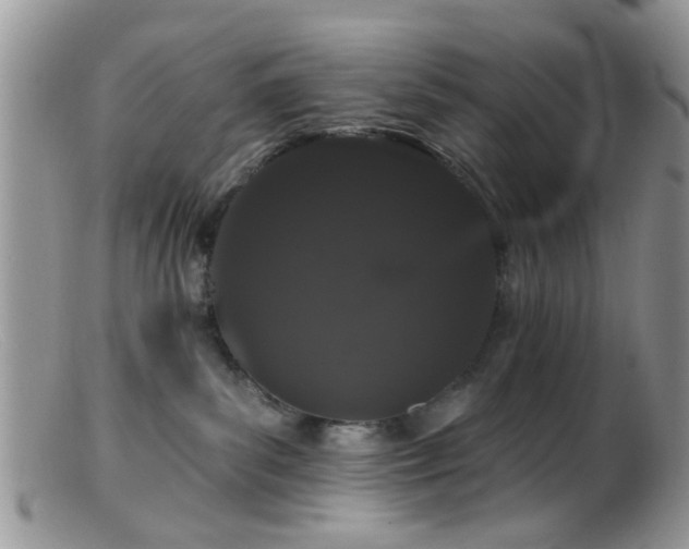 X0000099500139200805151440