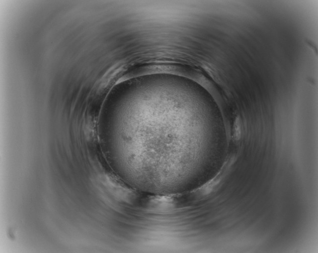 X0000099500140200805151440