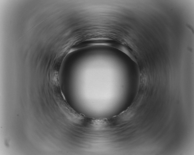 X0000099500141200805151440