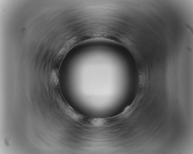 X0000099500142200805151440